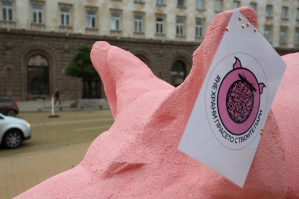 Снимка: Димитър Кьосемарлиев, Bulgaria ON AIR